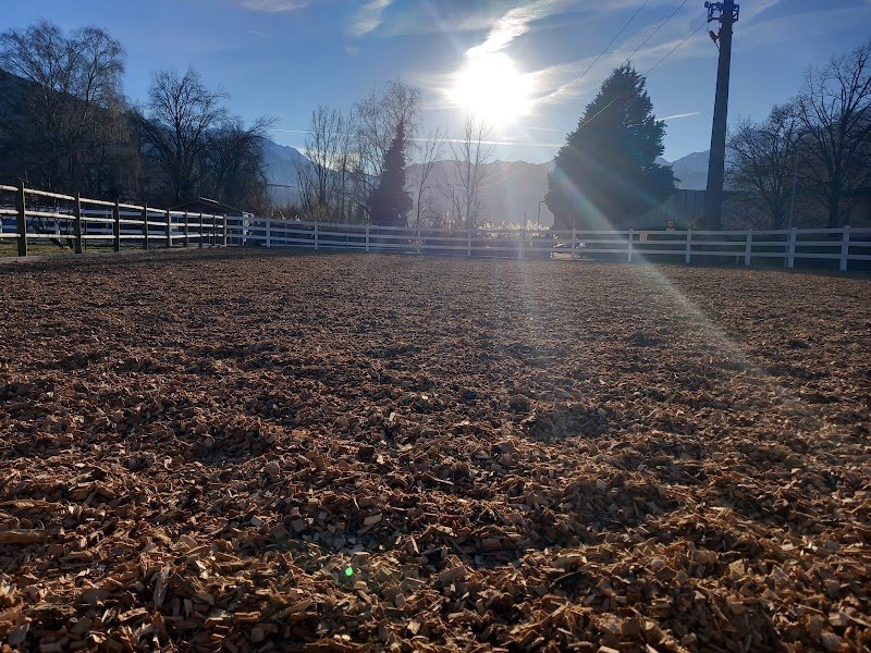 Marine Flipo | Écurie de l' écoute du cheval | Ostéopathe animalier - photo 2