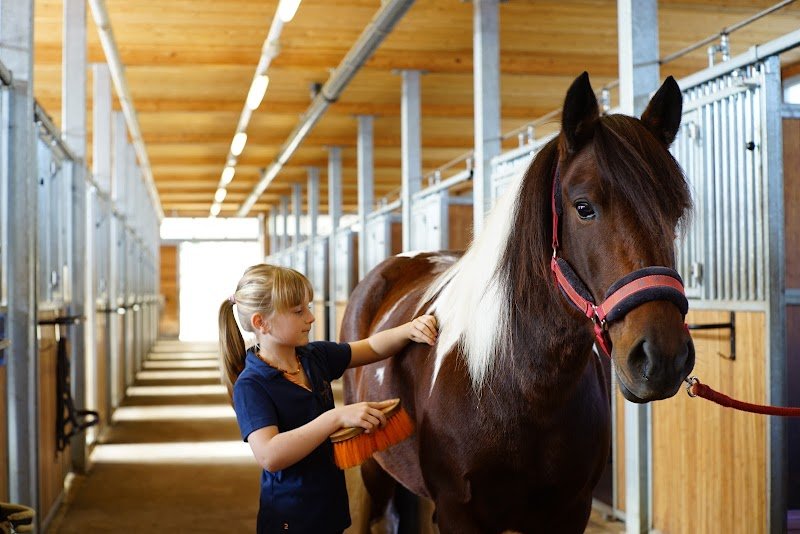 Ecurie Panwall - photo 2