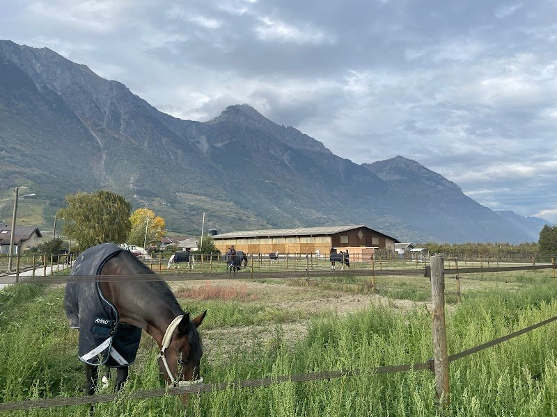 Ecurie Panwall - photo 3