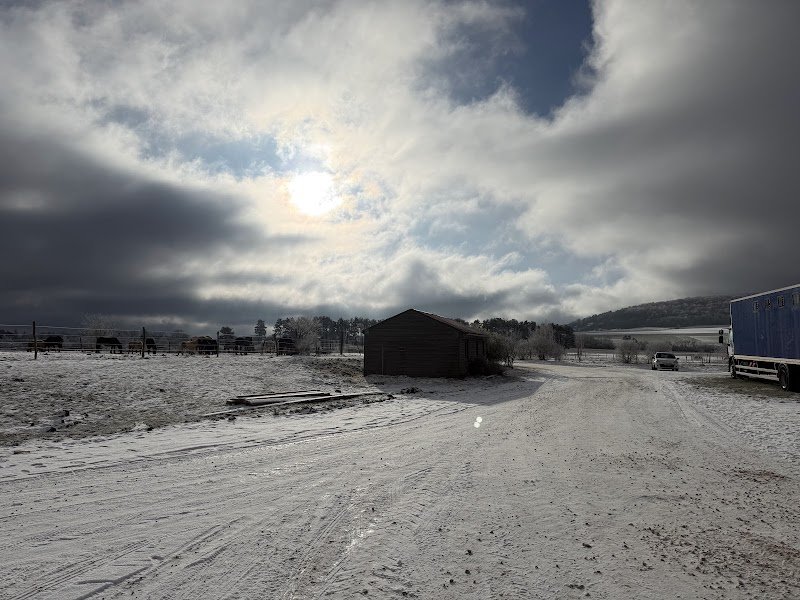 La Ferme Equestre des Monts- Ecurie de Montfeuillot - photo 2