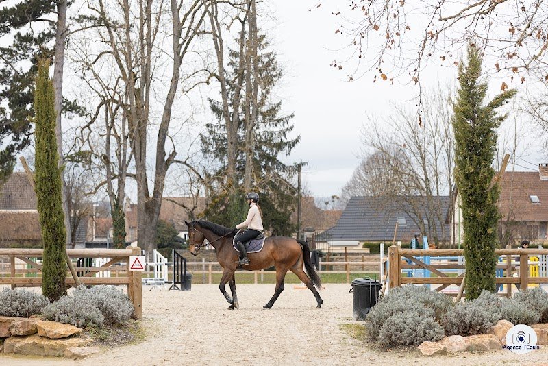 Écurie du Pasquiers - photo 2