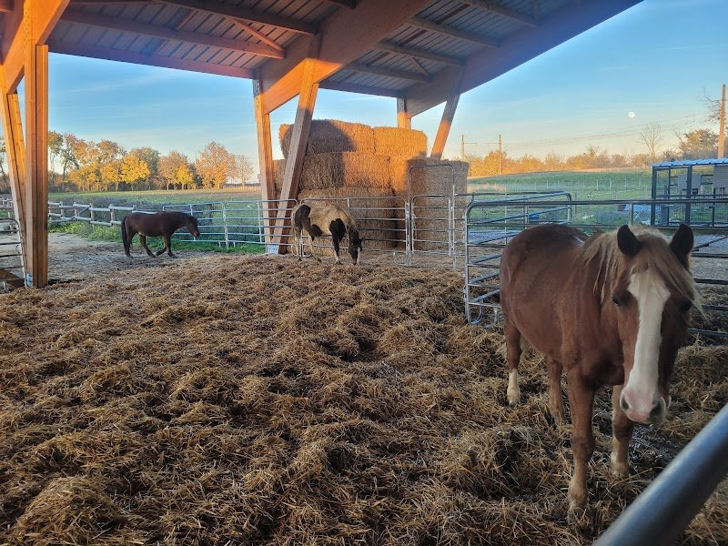 ECURIES DE PULIGNY - photo 2