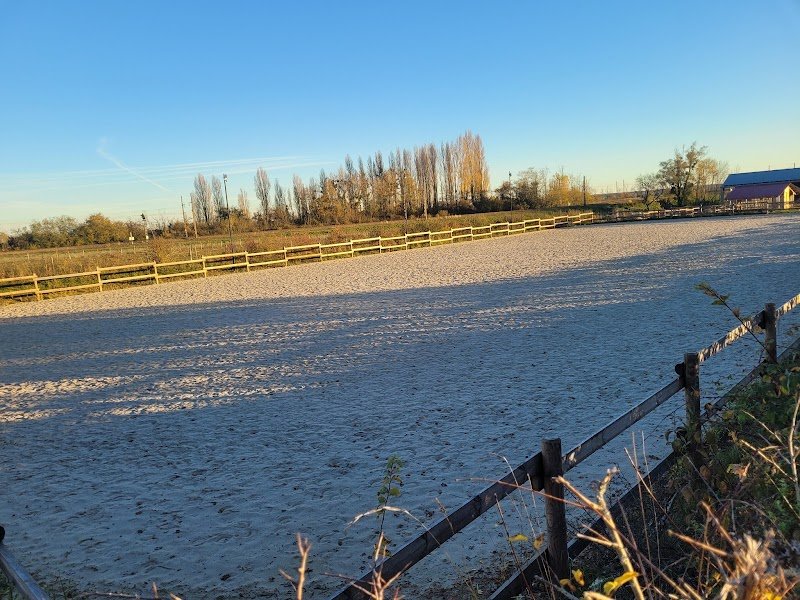 ECURIES DE PULIGNY - photo 3