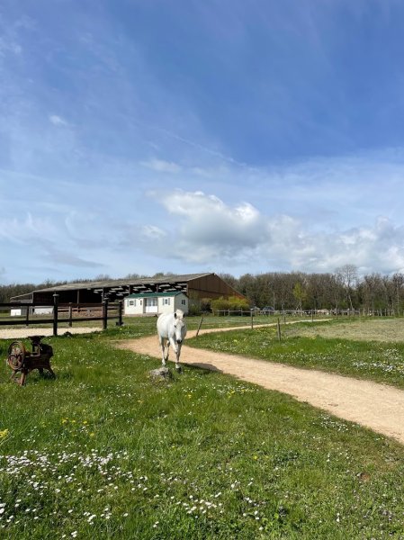 Poney Club de l'Autrot - photo 2