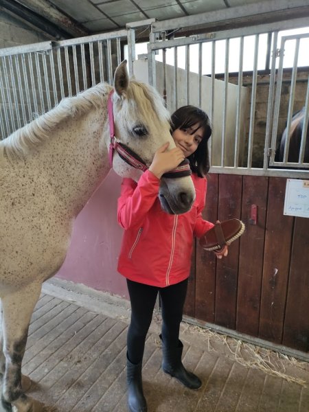 Cercle Hippique Dijonnais - photo 3