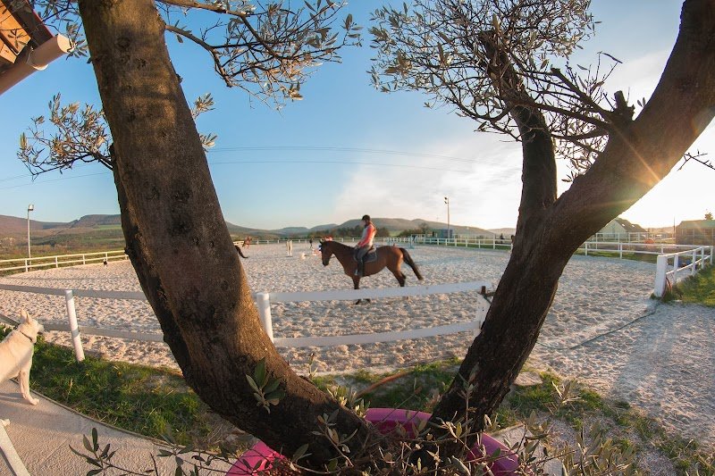 Écurie de Fleurey - photo 1
