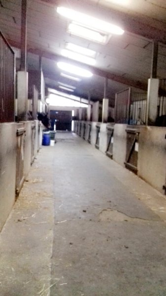 Écurie de Fleurey - photo 2