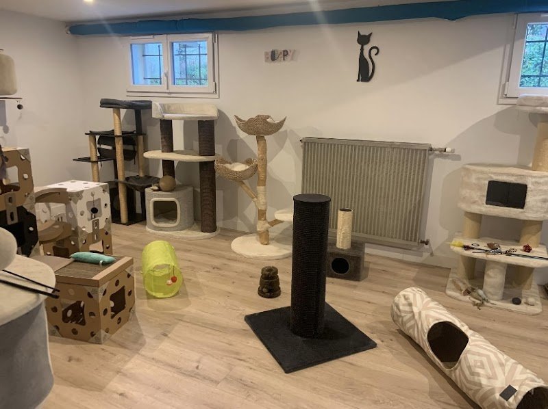 Egao Pension Féline - photo 1