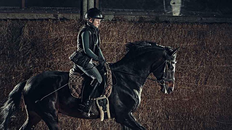 Écurie de l'Aiguillon