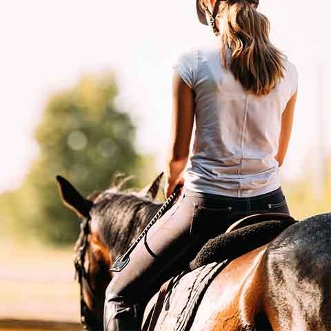 Écurie de l'Aiguillon - photo 2