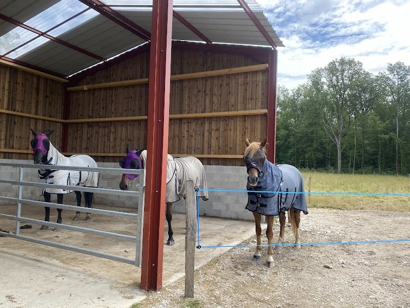 Association les Chevaux des Hameaux - photo 3