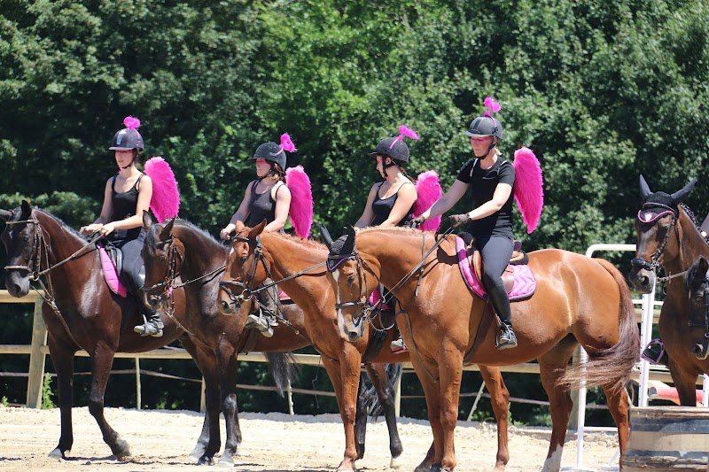 EARL Haras de Cîteaux-Ecurie du petit bonheur