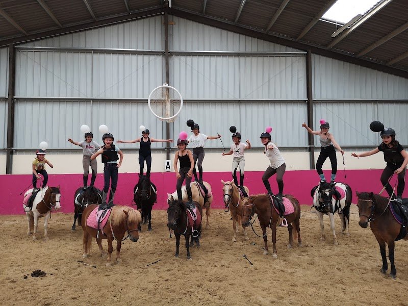 EARL Haras de Cîteaux-Ecurie du petit bonheur - photo 2