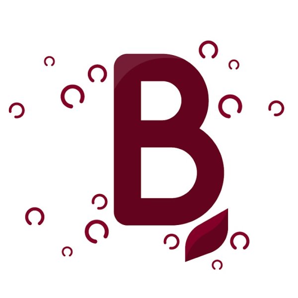 Centre Equestre du Châtillonnais La Barotte - photo 2