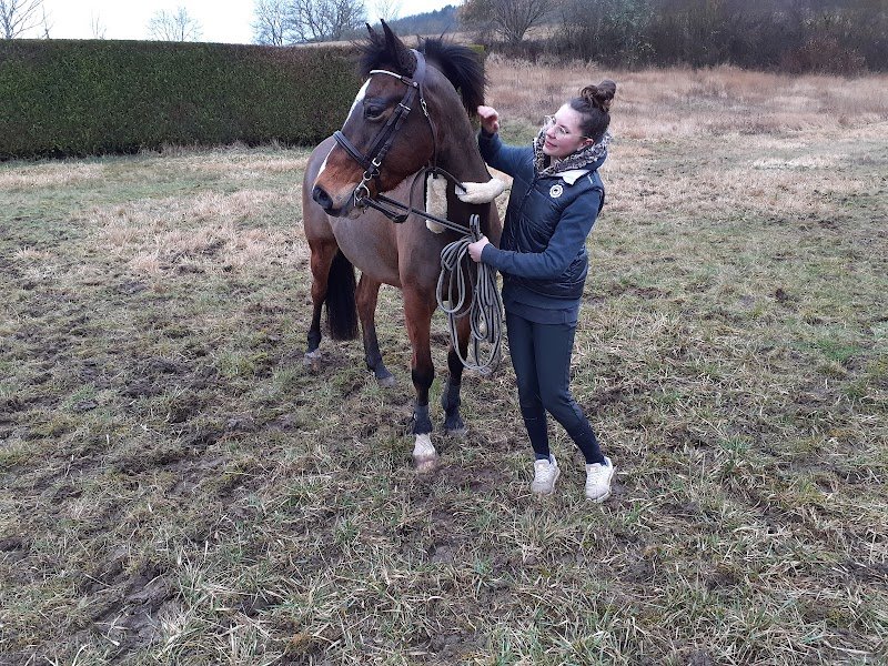 Les écuries des huileries - photo 1