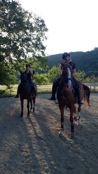 Les écuries des huileries - photo 3