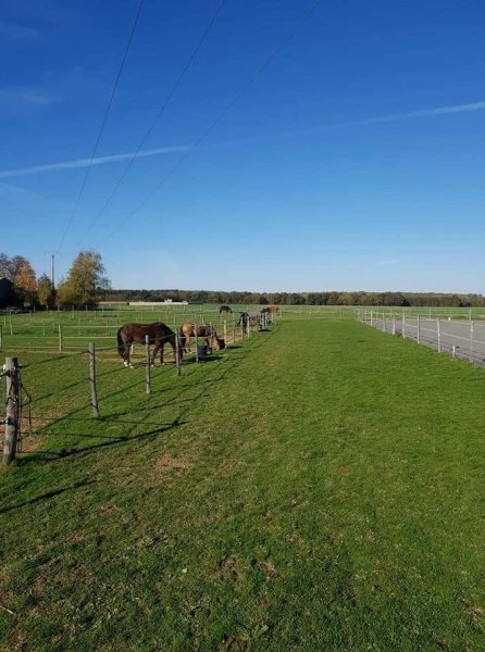 Écurie de montaiguillon- écurie de propriétaires en Seine-et-Marne- pension pour chevaux- enseignement- valorisation - photo 2