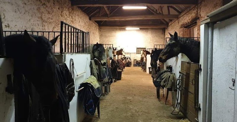 Écurie de montaiguillon- écurie de propriétaires en Seine-et-Marne- pension pour chevaux- enseignement- valorisation - photo 3