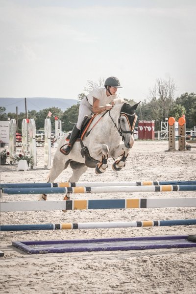 Écurie des fontenelles - photo 1