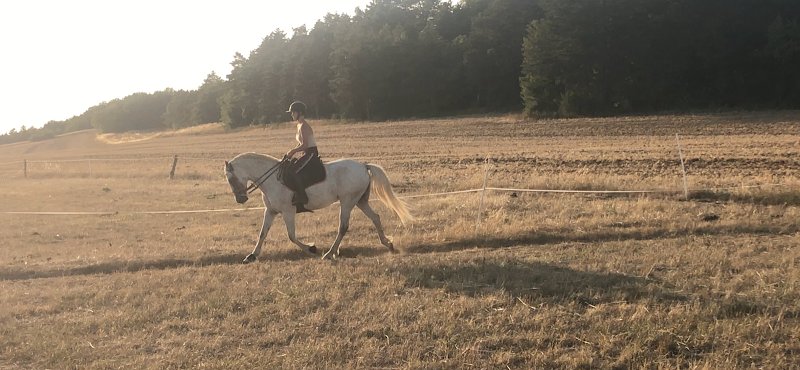 Écurie des fontenelles - photo 2