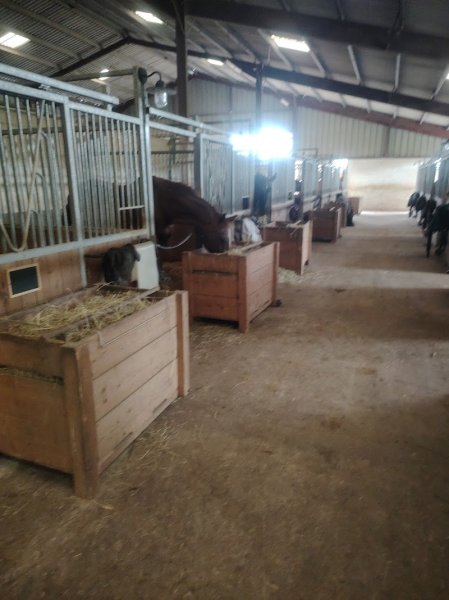 Pferdeweiden Frankreich - Ecurie Châtillon - photo 2