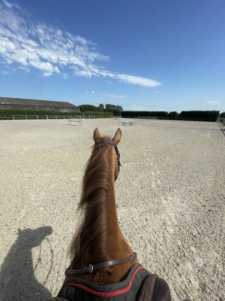 Écurie des lys - photo 3