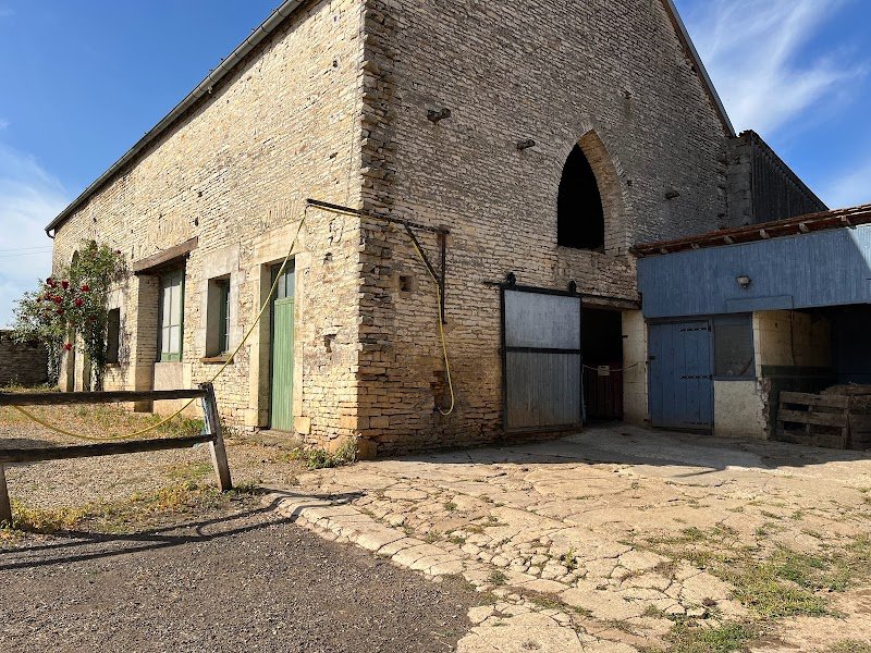 Haras des Mauritaines