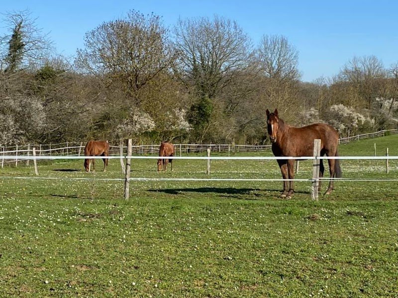 Centre Equestre de Semur en Auxois - photo 3