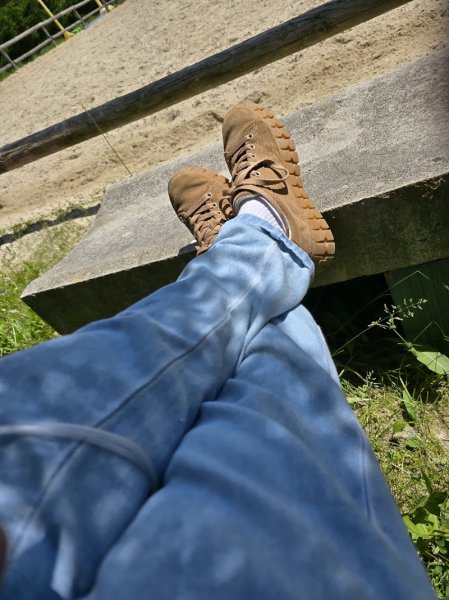 ECURIE SUR LAVALE - photo 2