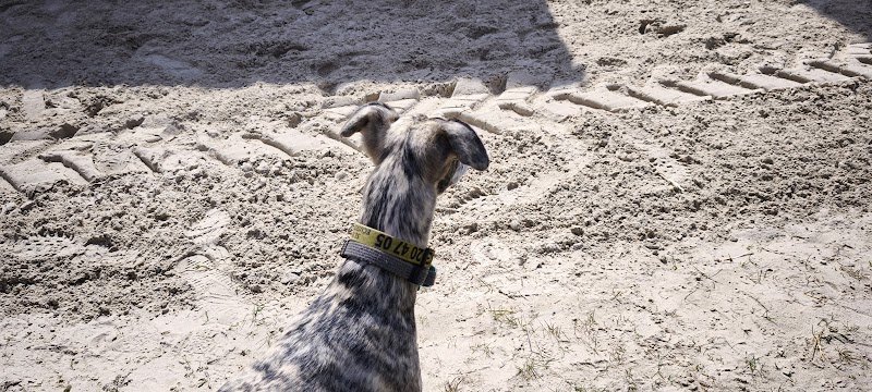 ECURIE SUR LAVALE - photo 3