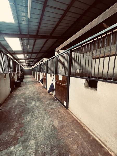 Écuries Equi-Caranzan - photo 1