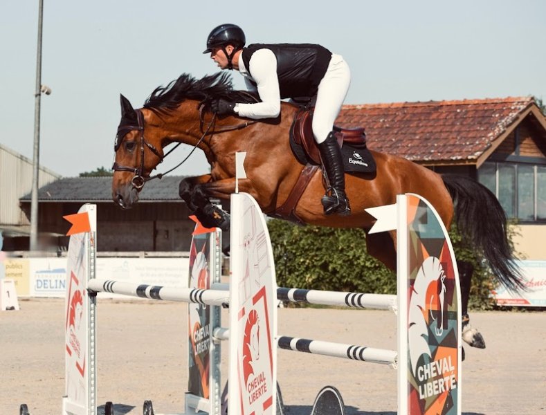 Écuries Equi-Caranzan - photo 2