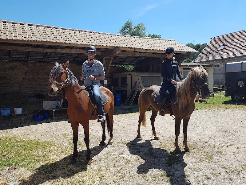 Ferme Equestre De Valbertier - photo 1