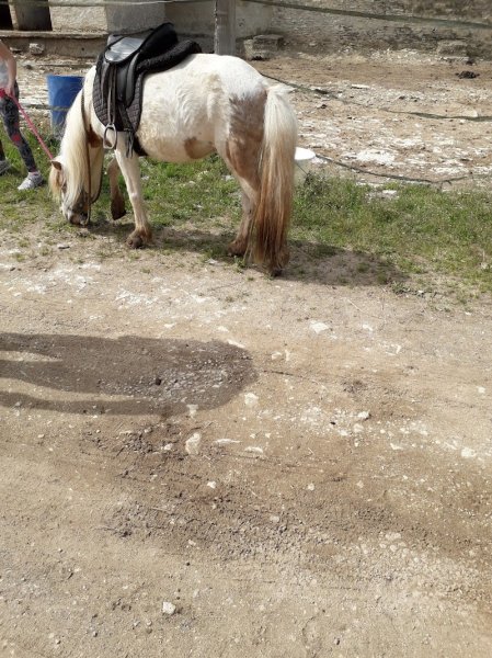 Ferme Equestre De Valbertier - photo 2