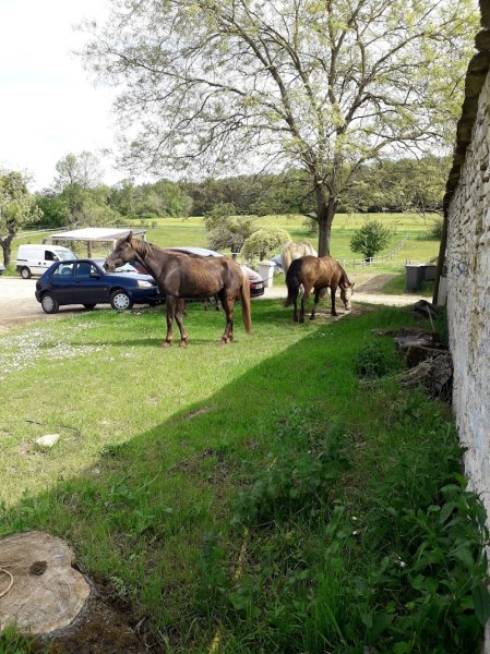 Ferme Equestre De Valbertier - photo 3