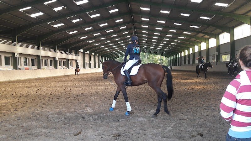 Centre Equestre Le GALOPIN - photo 2