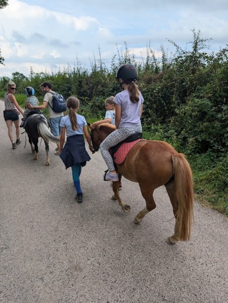 Centre Equestre ECURIE K DES LYS - photo 2