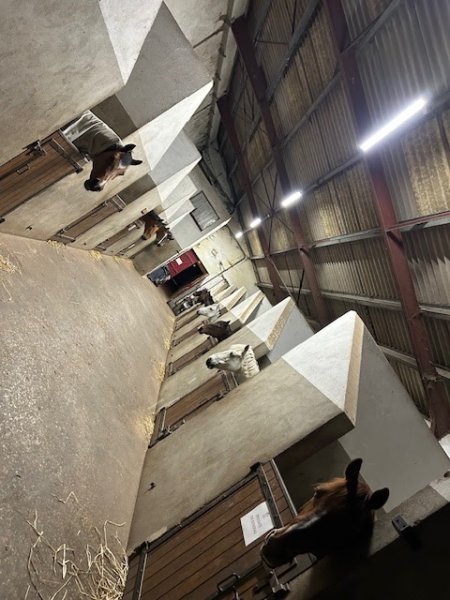 Centre Equestre ECURIE K DES LYS - photo 3