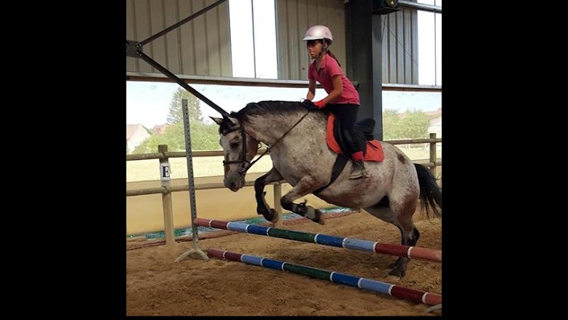 LES ECURIES DU BONHEUR