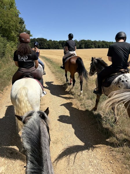 Centre Equestre de la Vignotte - photo 2