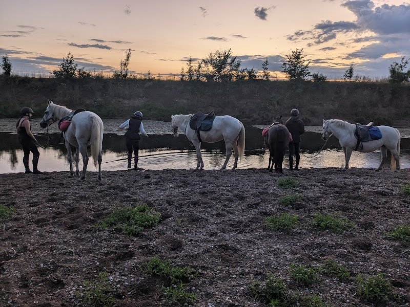 Écurie de la Violette - photo 2