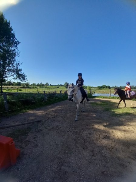 Écurie de la Violette - photo 3