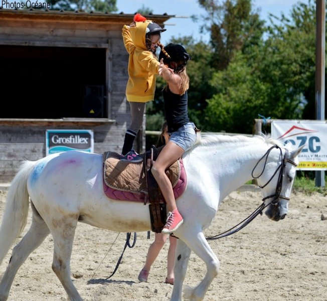 Les Ecuries de La Serre - photo 2