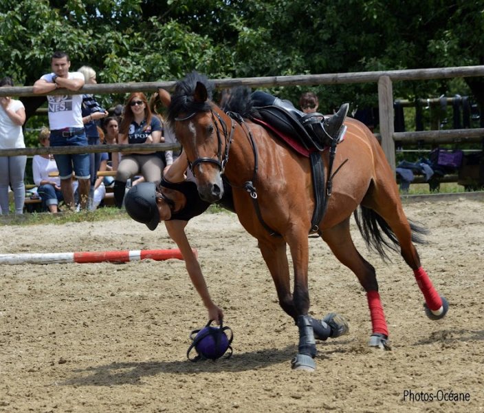 Les Ecuries de La Serre - photo 3