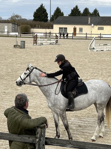 Écurie Steeve Mittnacht - photo 1