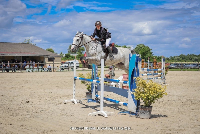 Écurie Steeve Mittnacht - photo 3