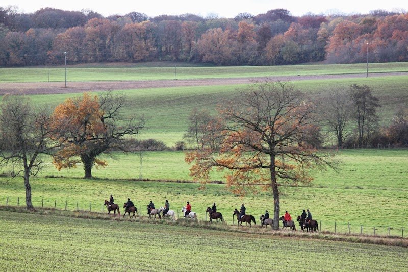 Ferme Équestre Cavalibre - photo 1