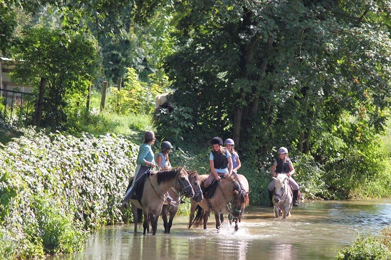 Ferme Équestre Cavalibre - photo 2