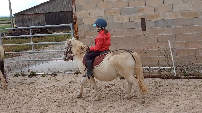 Ferme équestre de Juilly l'échenault - photo 3