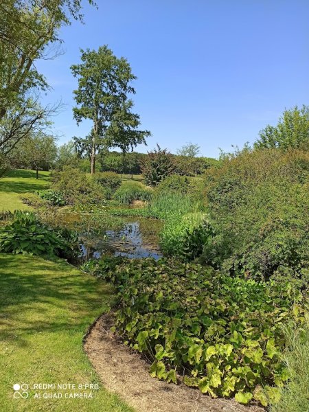 Elevage de chevaux - photo 3